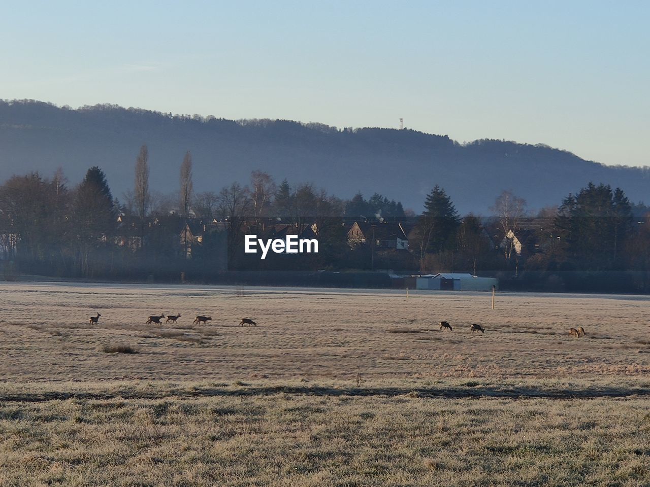 SCENIC VIEW OF LAND AGAINST SKY