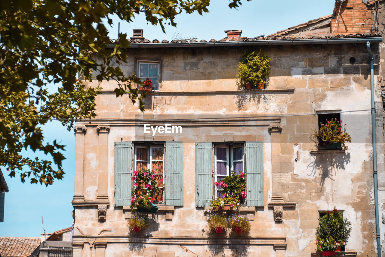 LOW ANGLE VIEW OF POTTED PLANT ON BUILDING