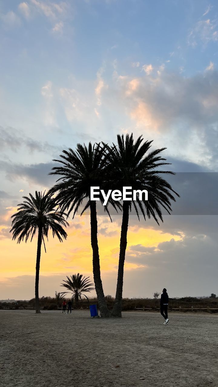 sky, palm tree, tropical climate, tree, beach, cloud, horizon, sunset, nature, land, sea, silhouette, ocean, water, beauty in nature, plant, coast, scenics - nature, dusk, tranquility, tranquil scene, holiday, vacation, travel destinations, coconut palm tree, trip, sunlight, shore, outdoors, idyllic, body of water, evening, travel, horizon over water, sand, tropics, leisure activity, men, environment