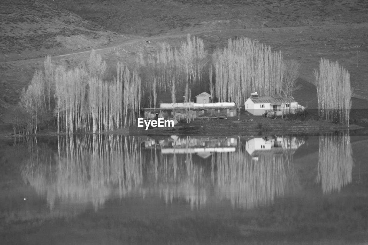 PANORAMIC VIEW OF A LAKE