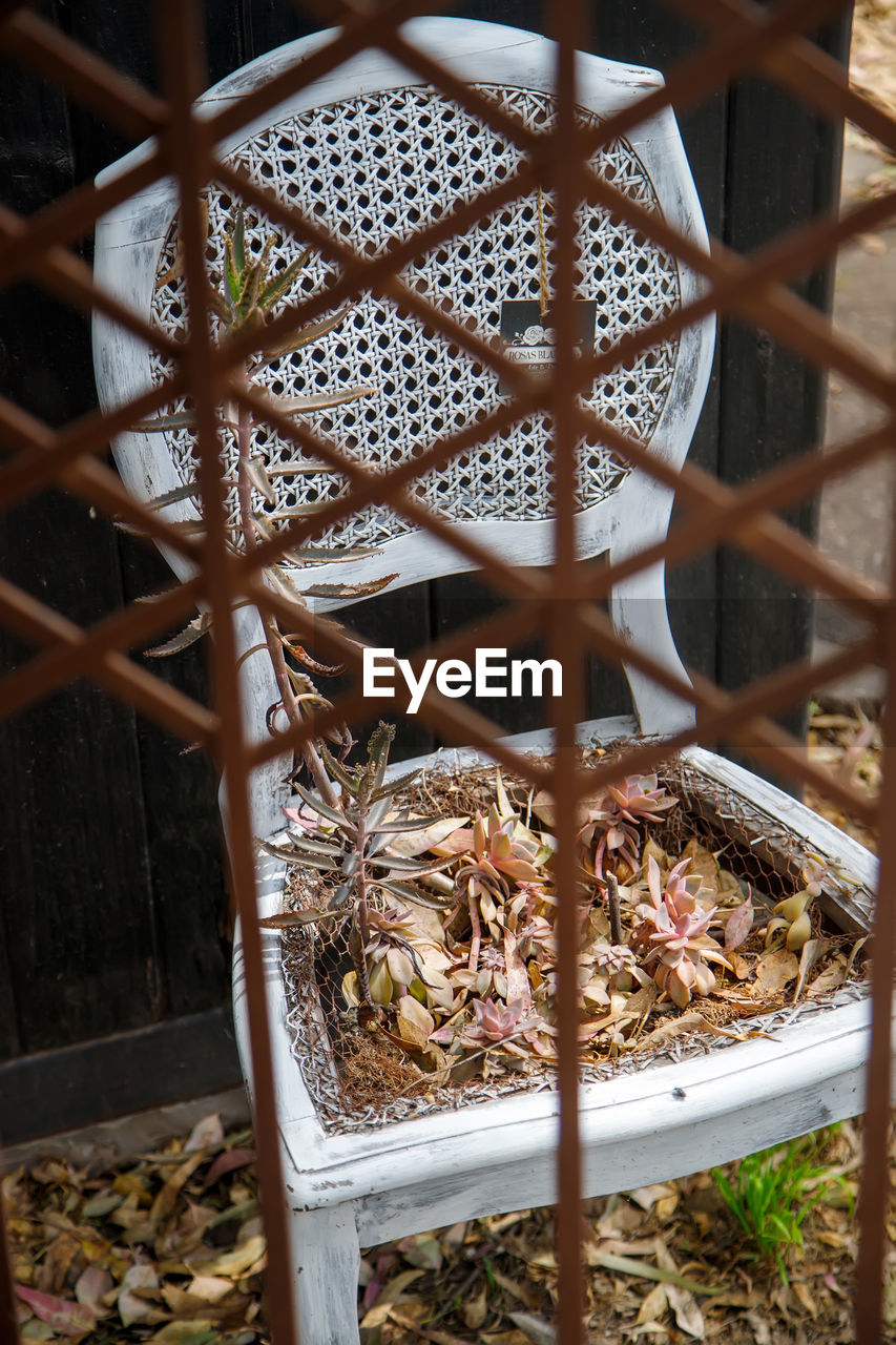 no people, day, iron, metal, nature, plant, cage, architecture, outdoors, high angle view, animal