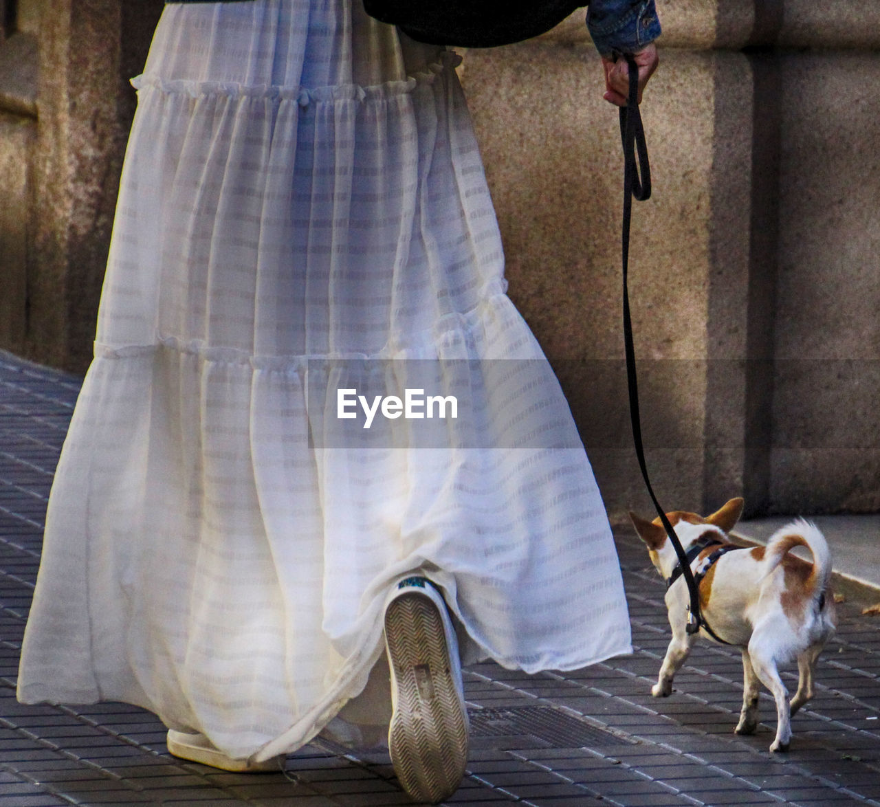 LOW SECTION OF MAN AND WOMAN WITH DOG STANDING ON FLOOR