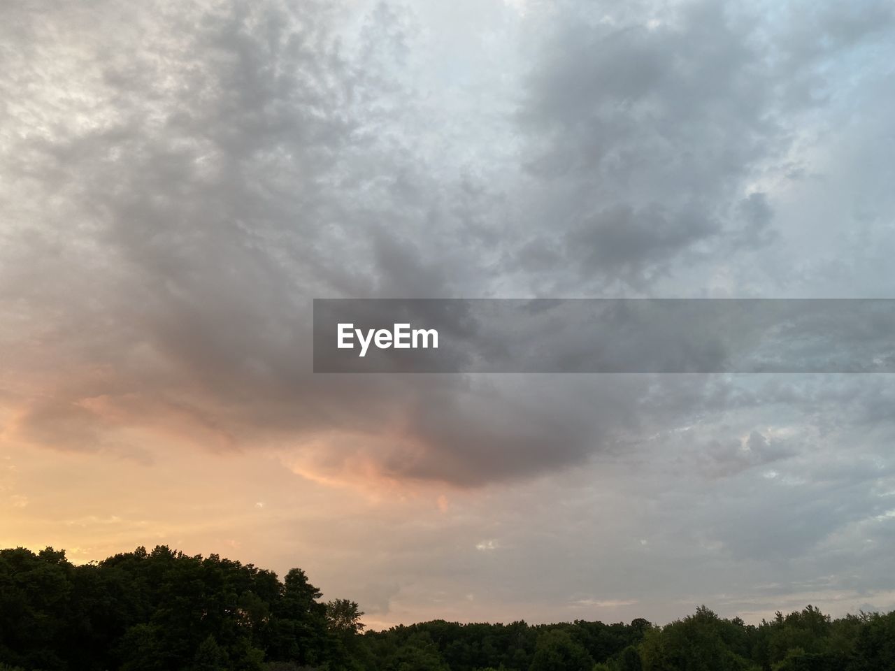 LOW ANGLE VIEW OF TREES AGAINST STORM CLOUDS IN SKY