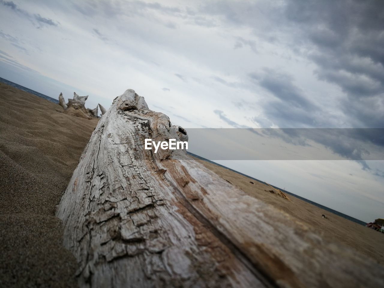 High angle view of driftwood at sandy beach against cloudy sky