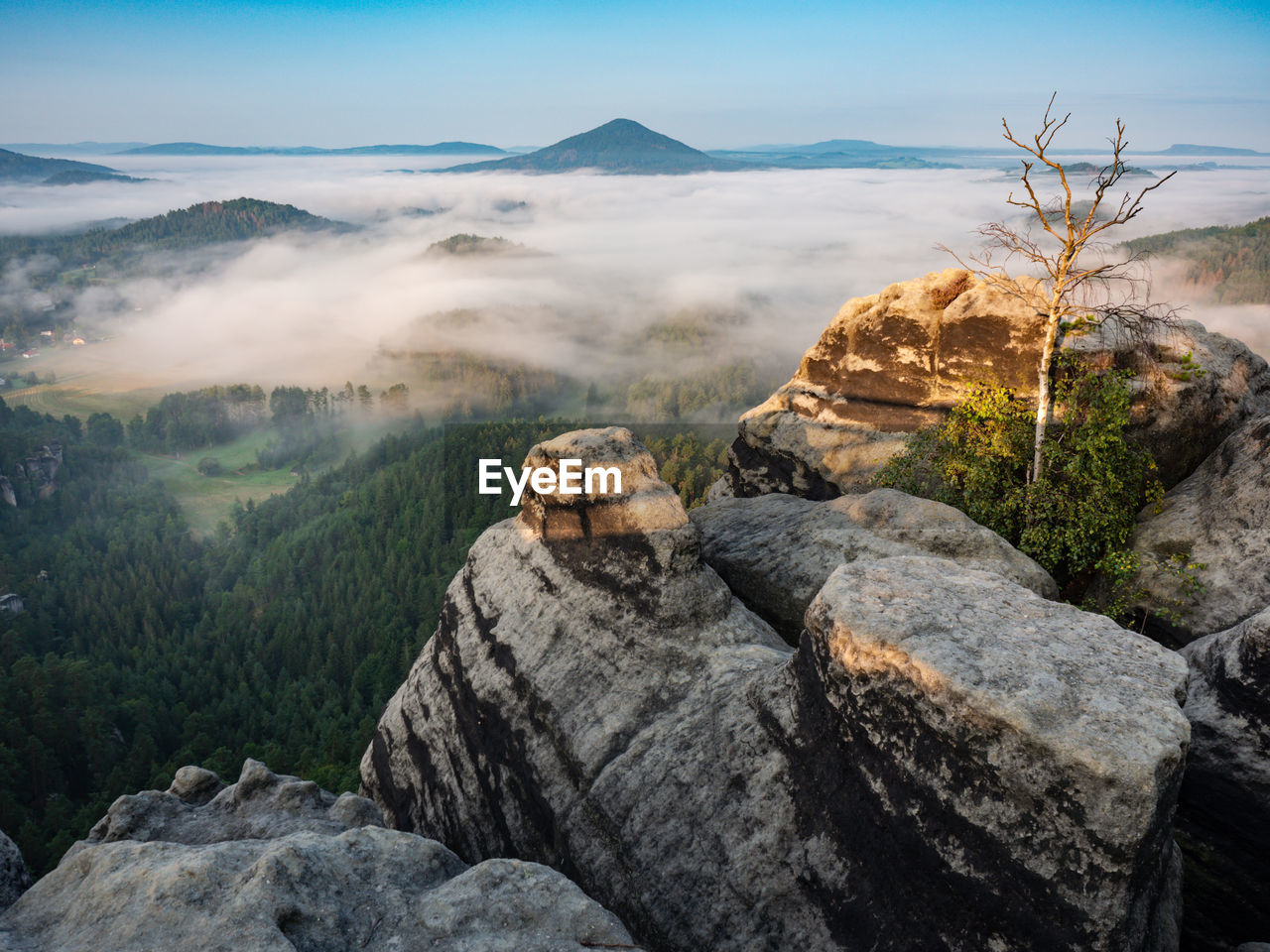 Autumnal misty foggy morning in valley of bohemian switzerland park, hills with fog, beautiful park