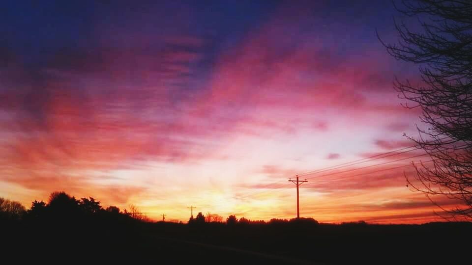 SILHOUETTE OF TREES AT SUNSET