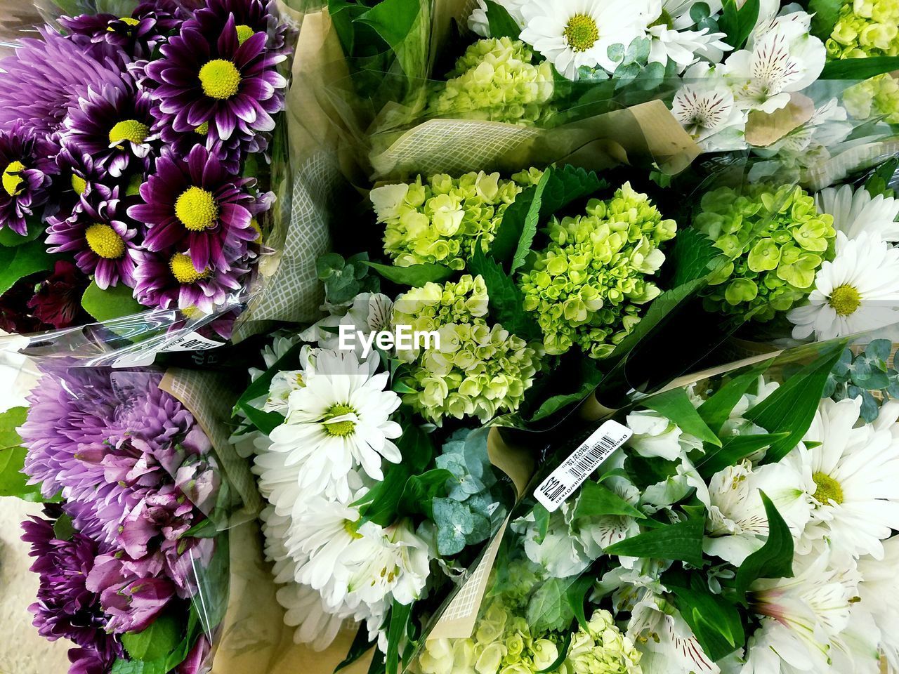 CLOSE-UP OF BOUQUET OF FLOWERS FOR SALE