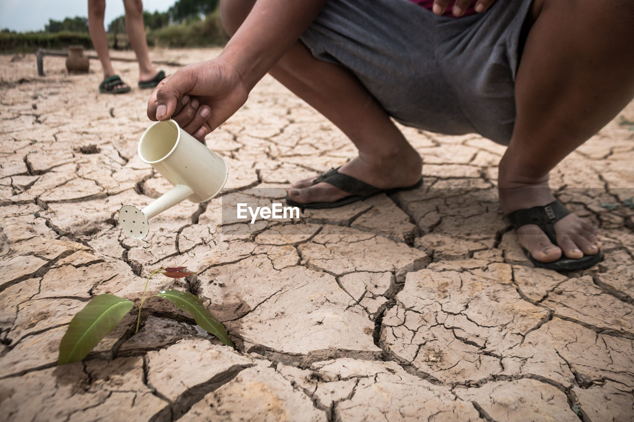 Low section of man watering plant on barren field