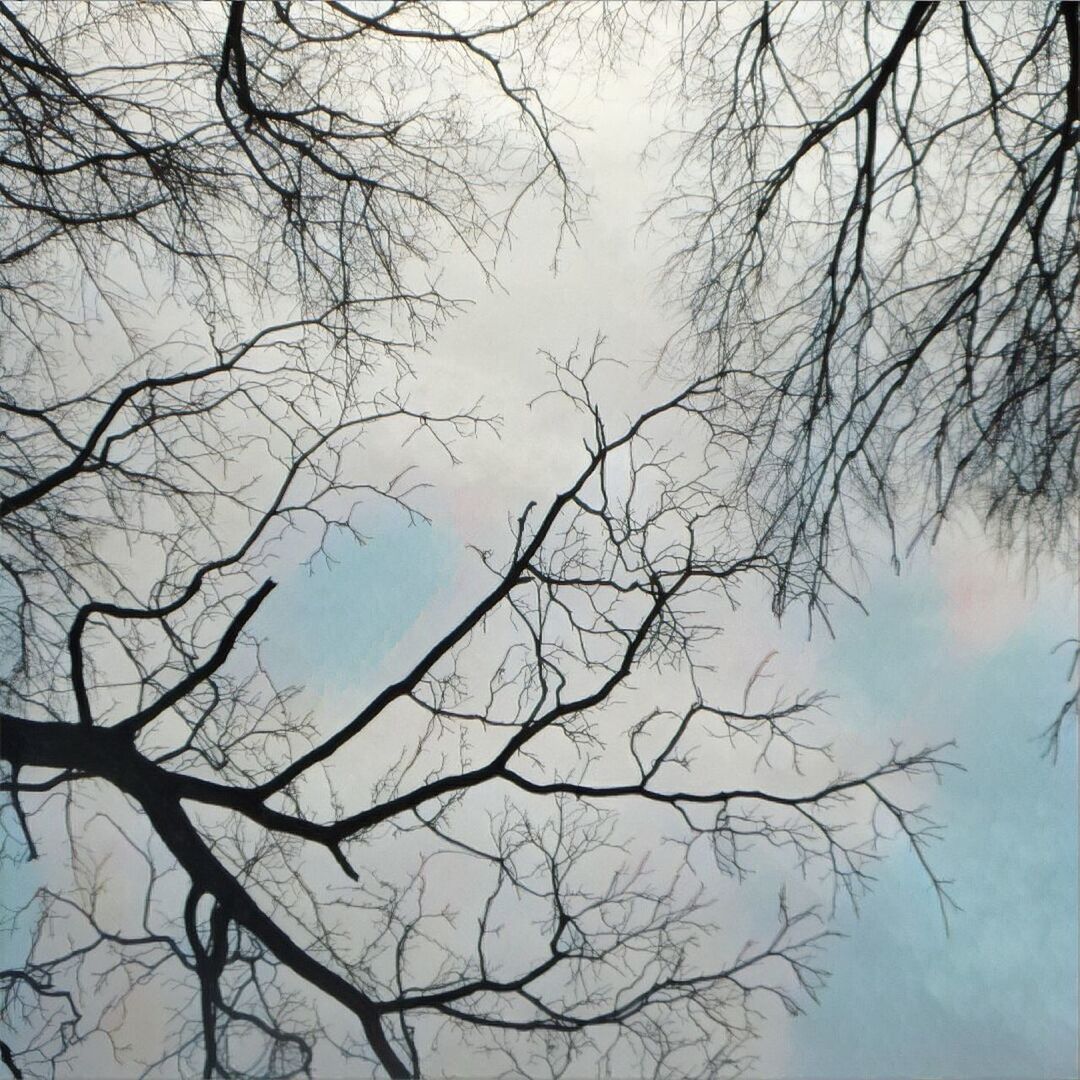LOW ANGLE VIEW OF BARE TREES AGAINST SKY