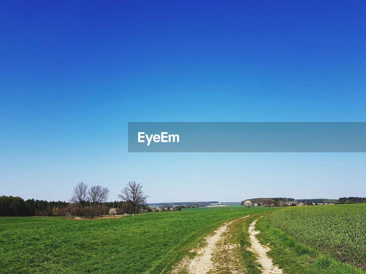 SCENIC VIEW OF AGRICULTURAL FIELD AGAINST BLUE SKY