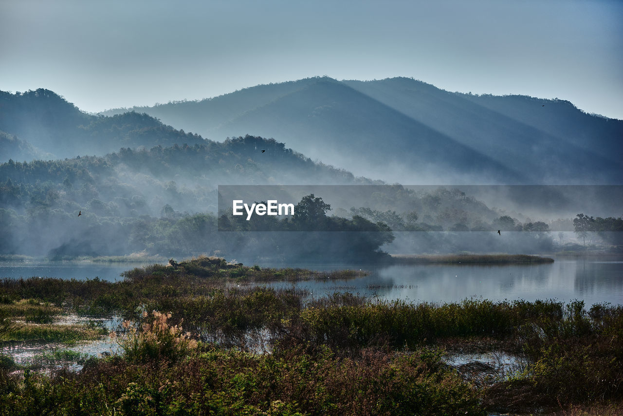 Misty morning