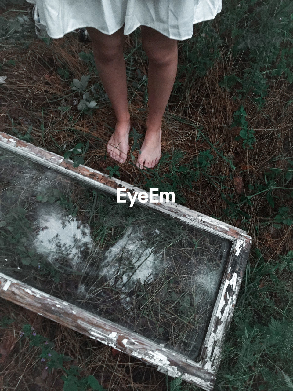 Low section of woman standing on plants by wooden frame outdoors