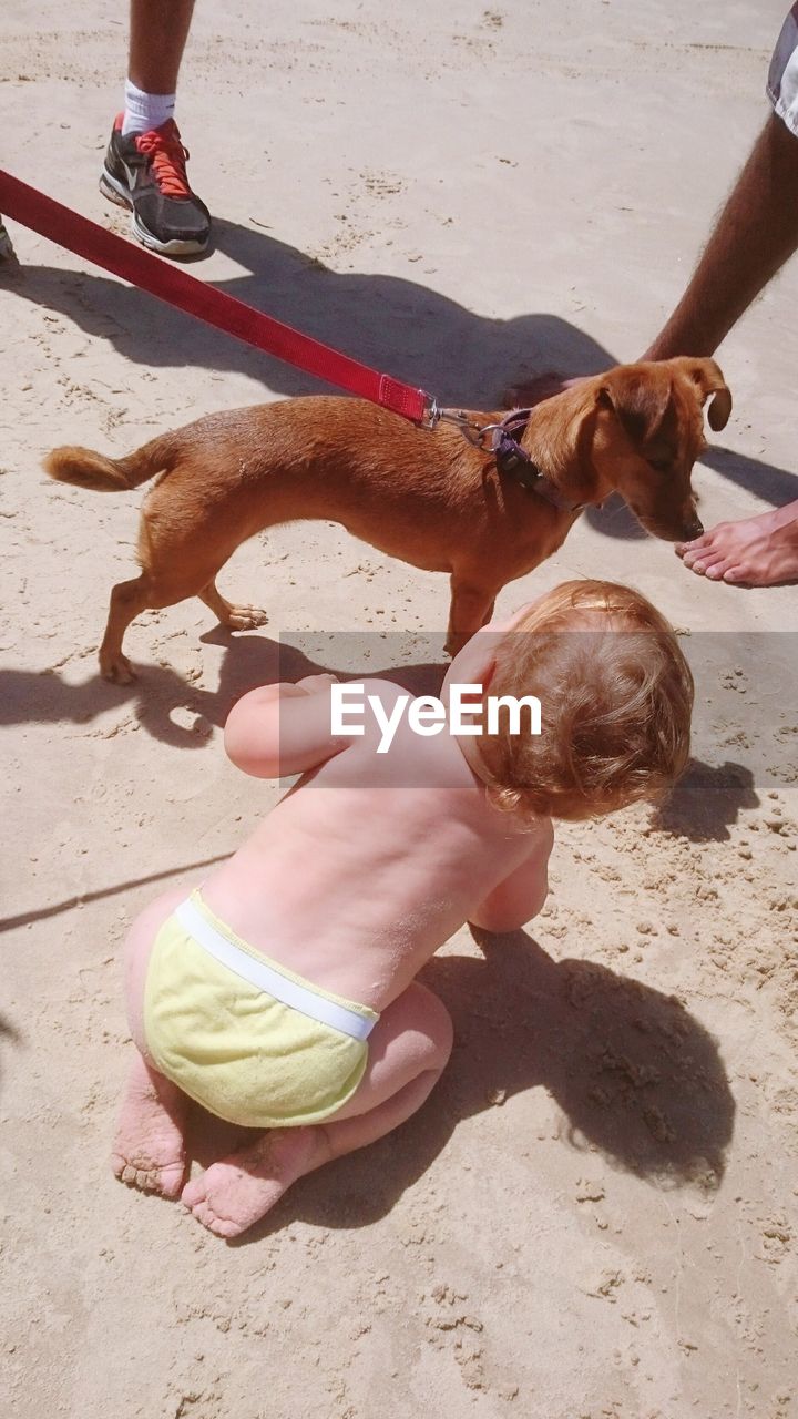 High angle view of shirtless girl playing with dog at beach during summer