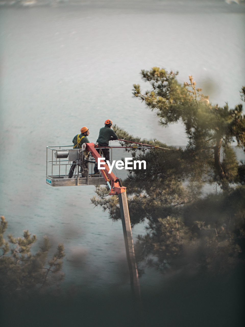 water, reflection, nature, occupation, men, day, tree, working, plant, high angle view, adult, outdoors, two people, lake, full length, person, industry, manual worker