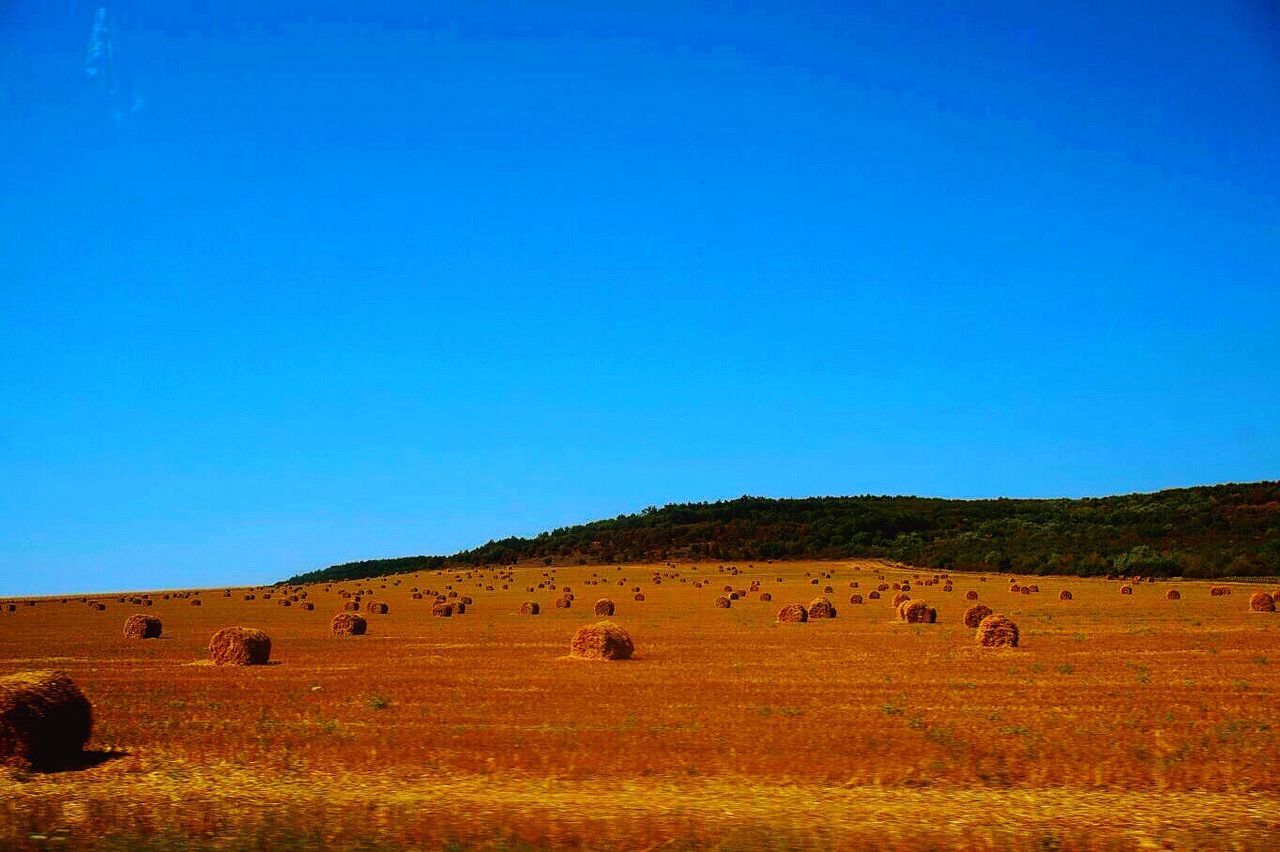 Hay bales on field against clear blue sky