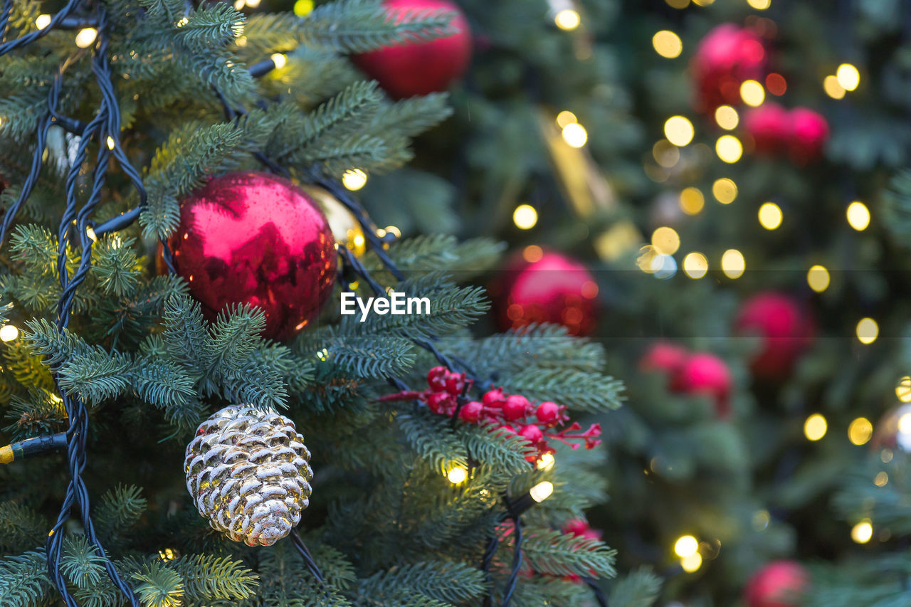 CLOSE-UP OF ILLUMINATED CHRISTMAS TREE AGAINST BLURRED BACKGROUND