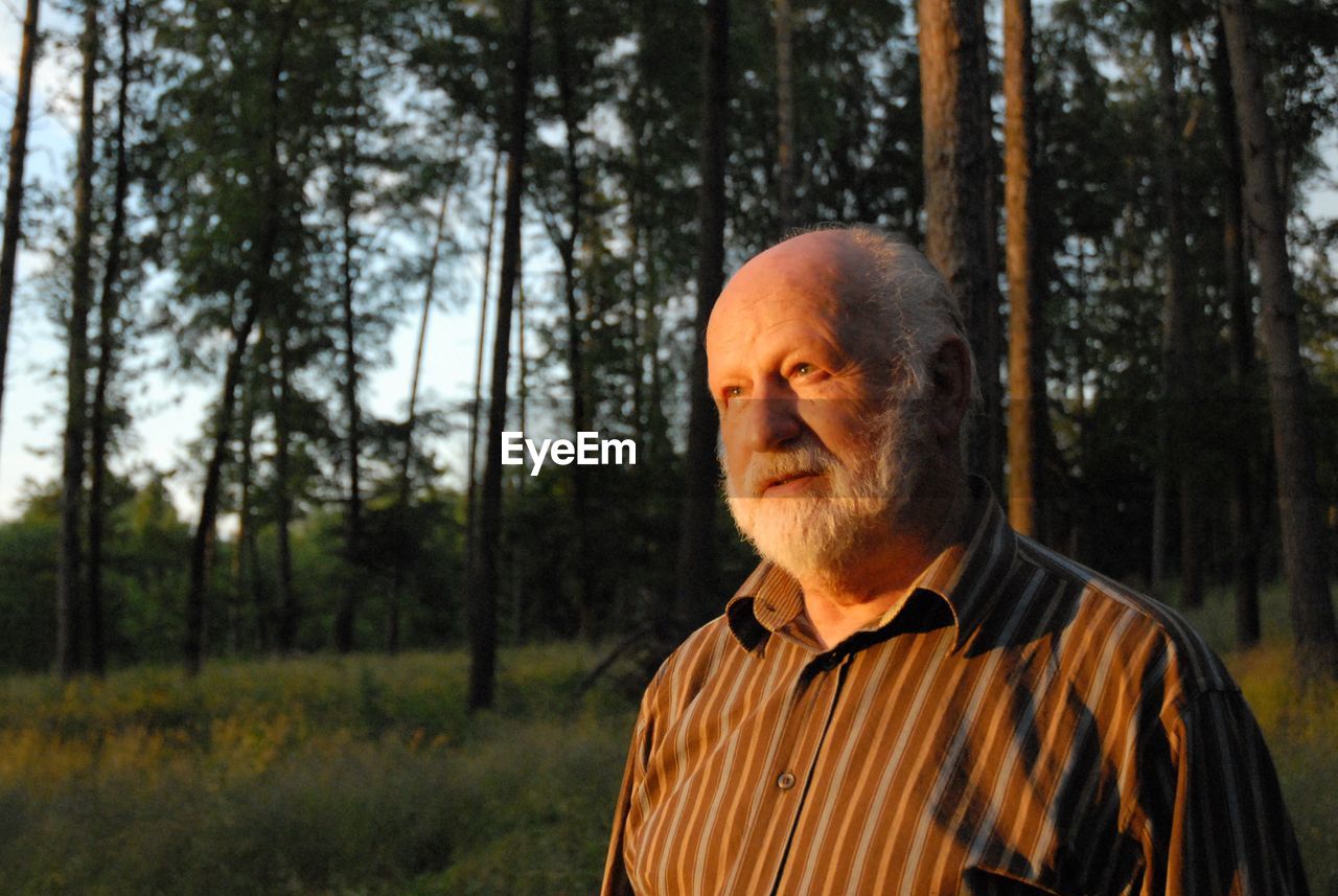 Thoughtful senior man standing in forest during sunset