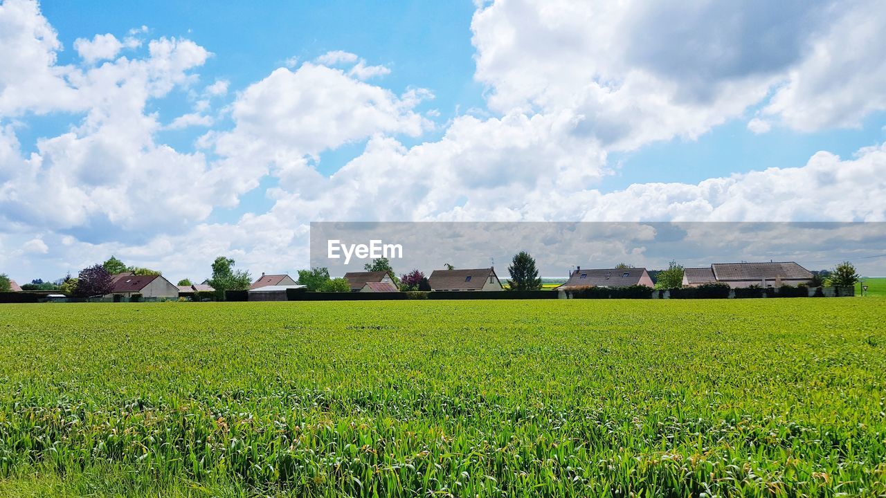 Houses on field against sky