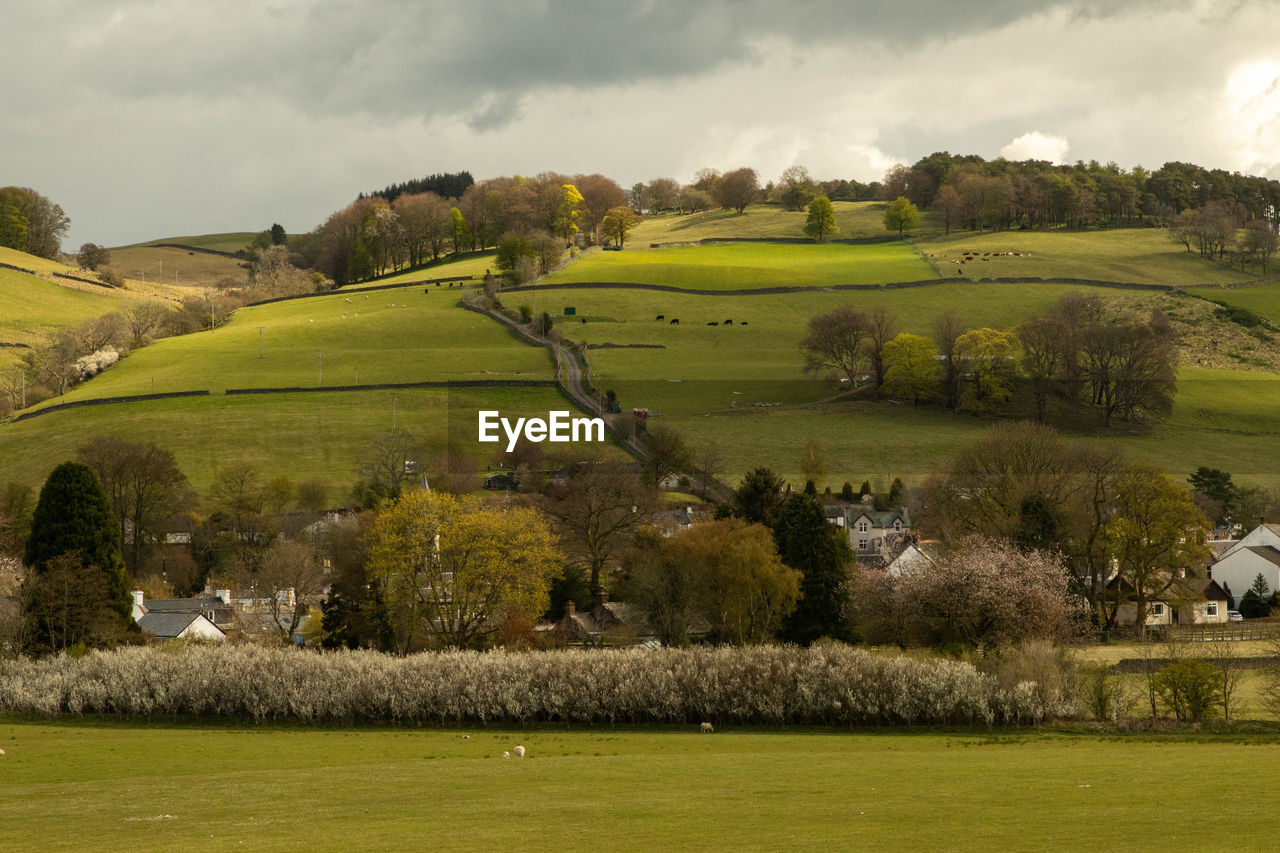 Scenic view of rolling scottish lowlands