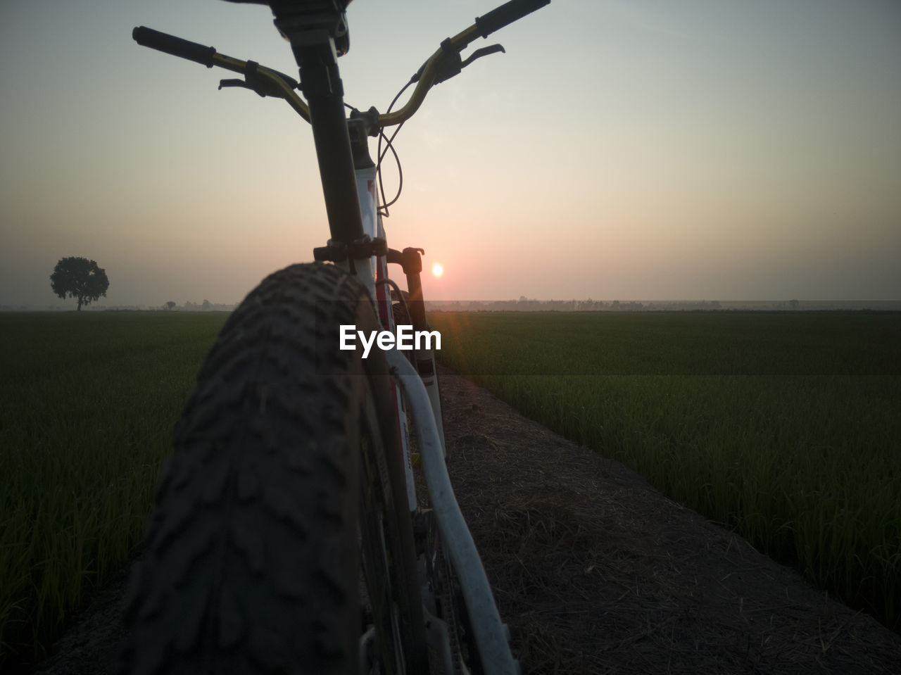 SCENIC VIEW OF AGRICULTURAL FIELD DURING SUNSET