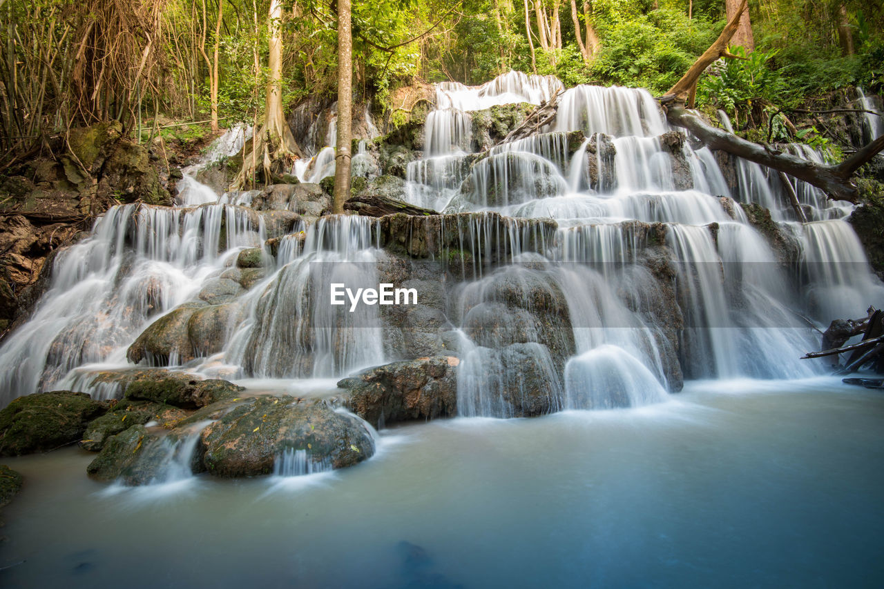 Scenic view of waterfall in forest