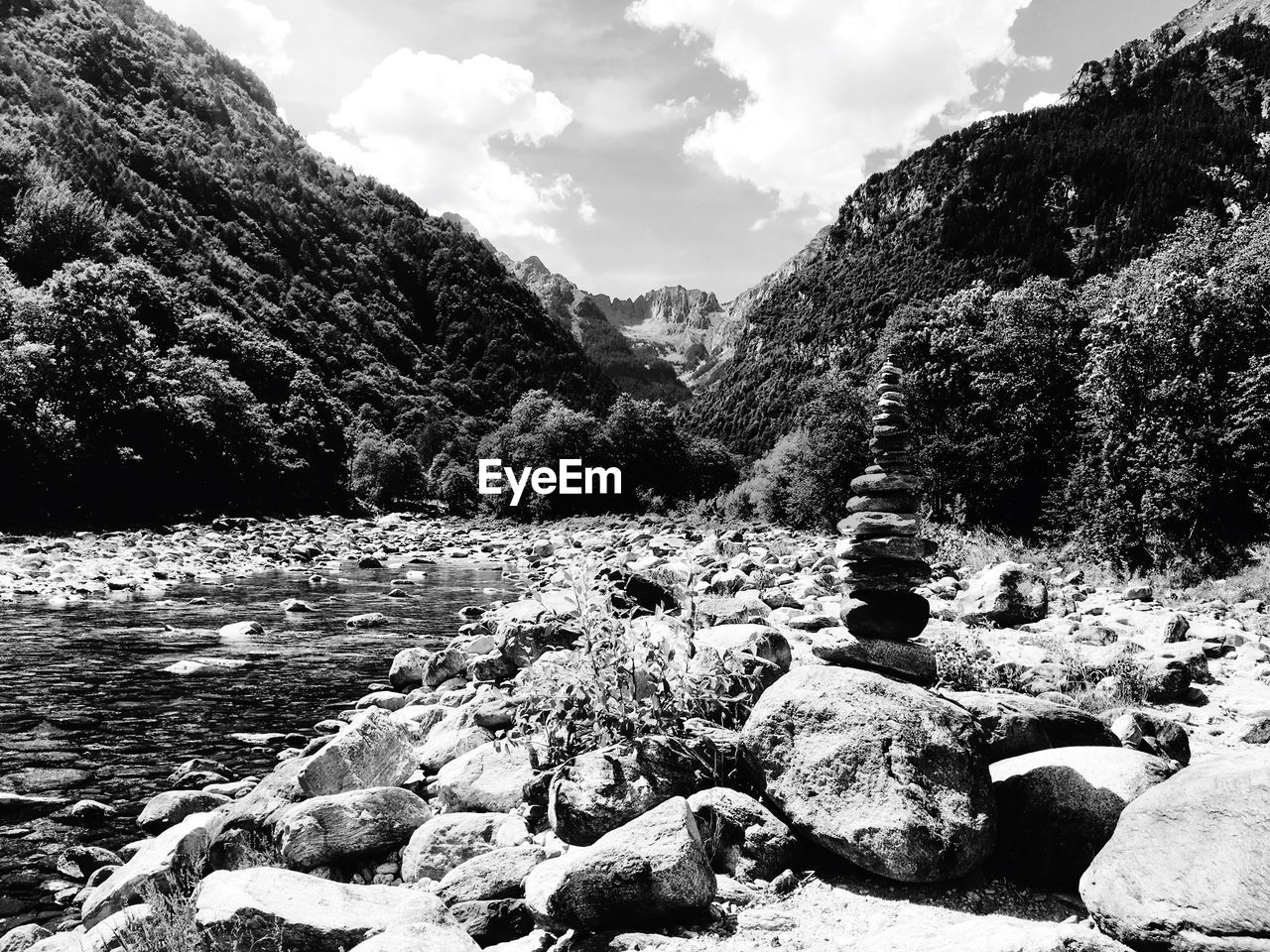 Scenic view of rocks in forest against sky