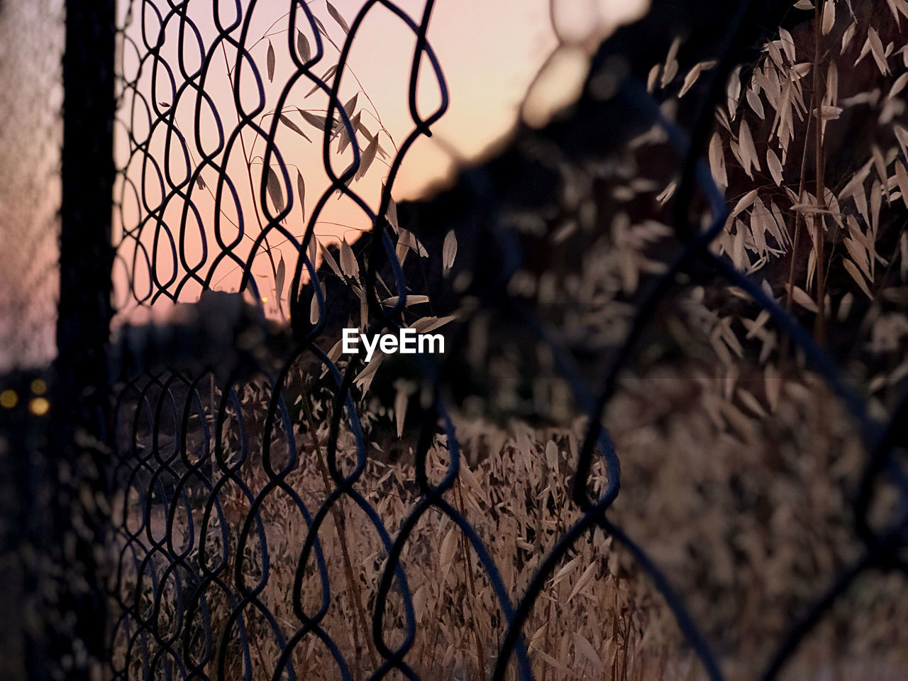 Close-up of chainlink fence against sky