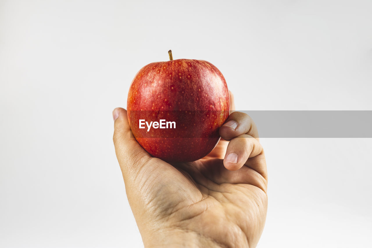 Hand holding a red apple fruit against white background