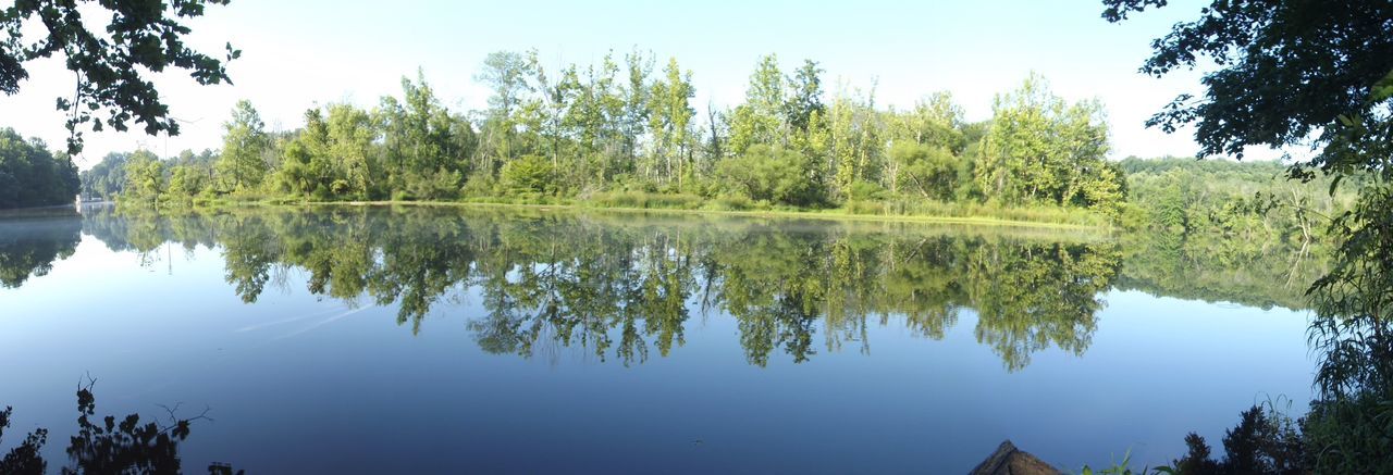 REFLECTION OF TREES IN WATER