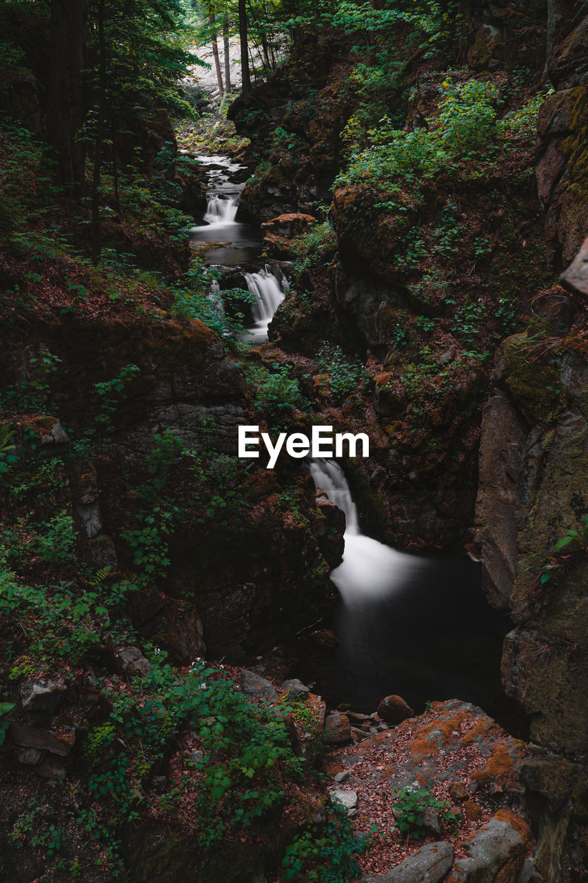 SCENIC VIEW OF WATERFALL IN FOREST