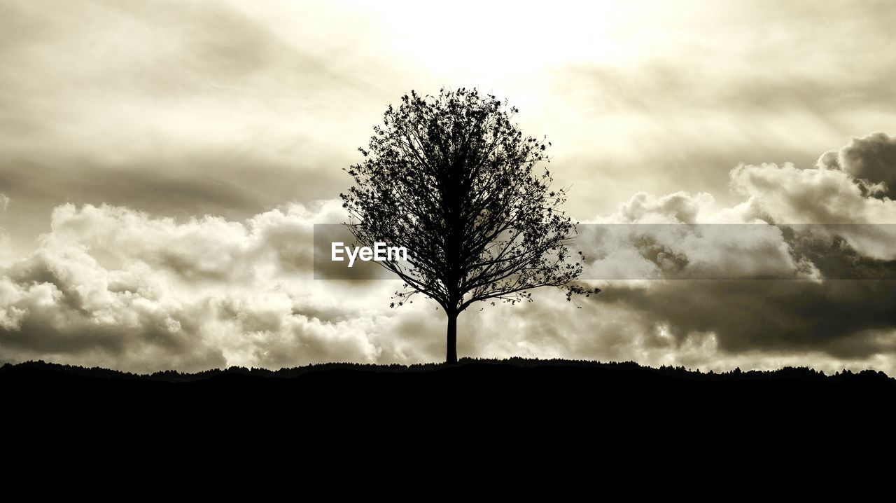 Tree on silhouette landscape against clouds