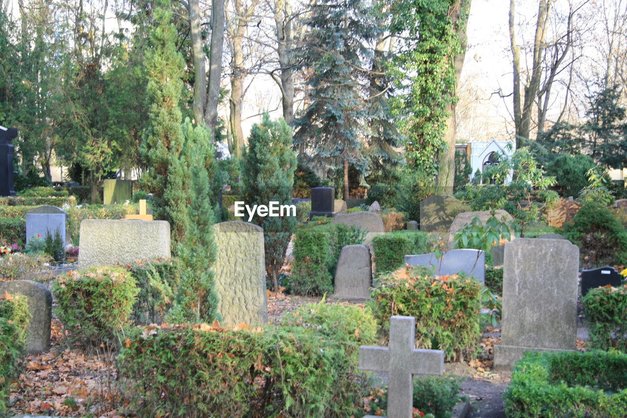 PANORAMIC VIEW OF OLD RUINS