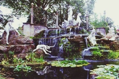 WATER FLOWING THROUGH PLANTS