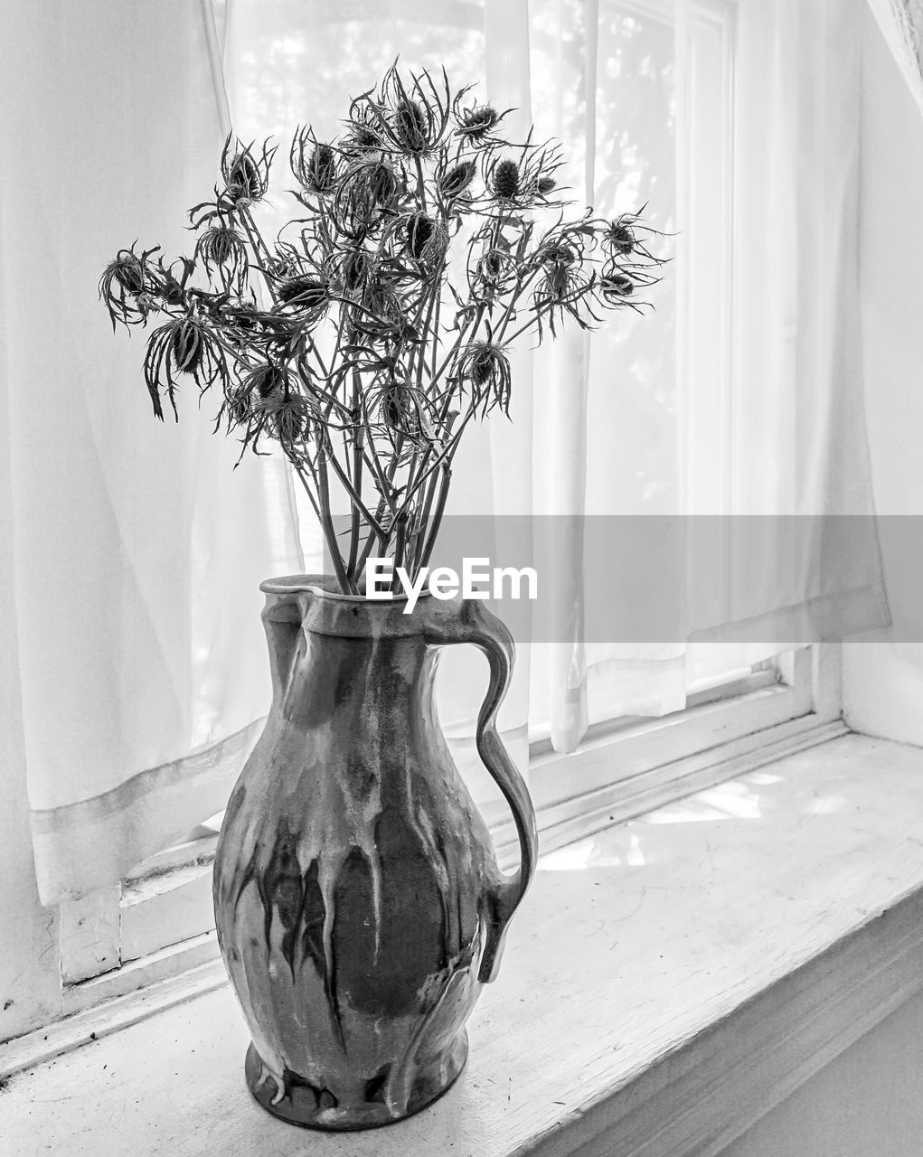 CLOSE-UP OF POTTED PLANT ON TABLE BY WINDOW AT HOME