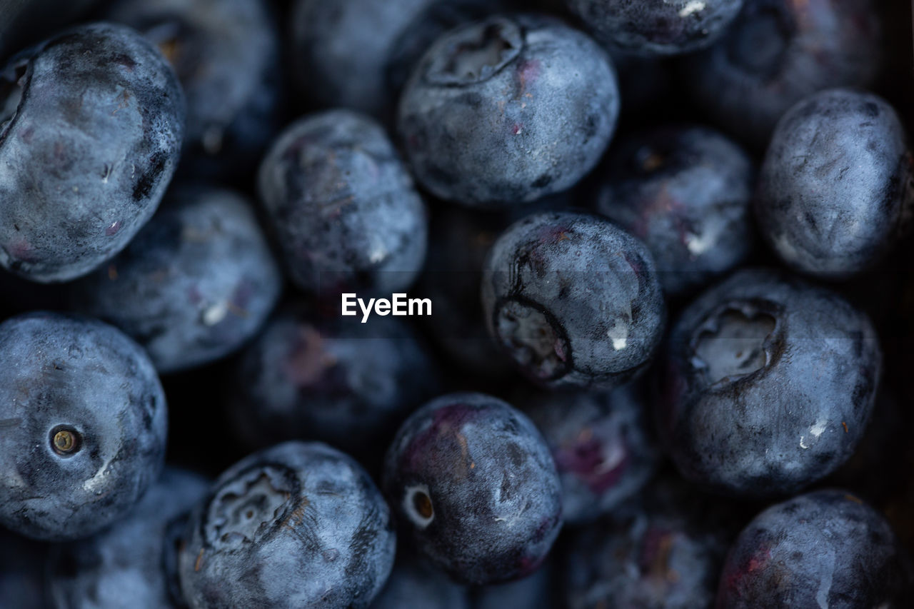 Full frame shot of blueberries