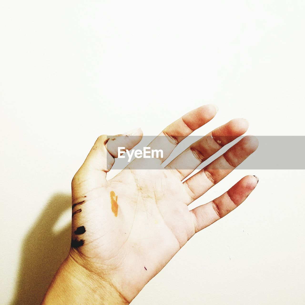 CLOSE-UP OF HAND HOLDING LEAF AGAINST WHITE BACKGROUND