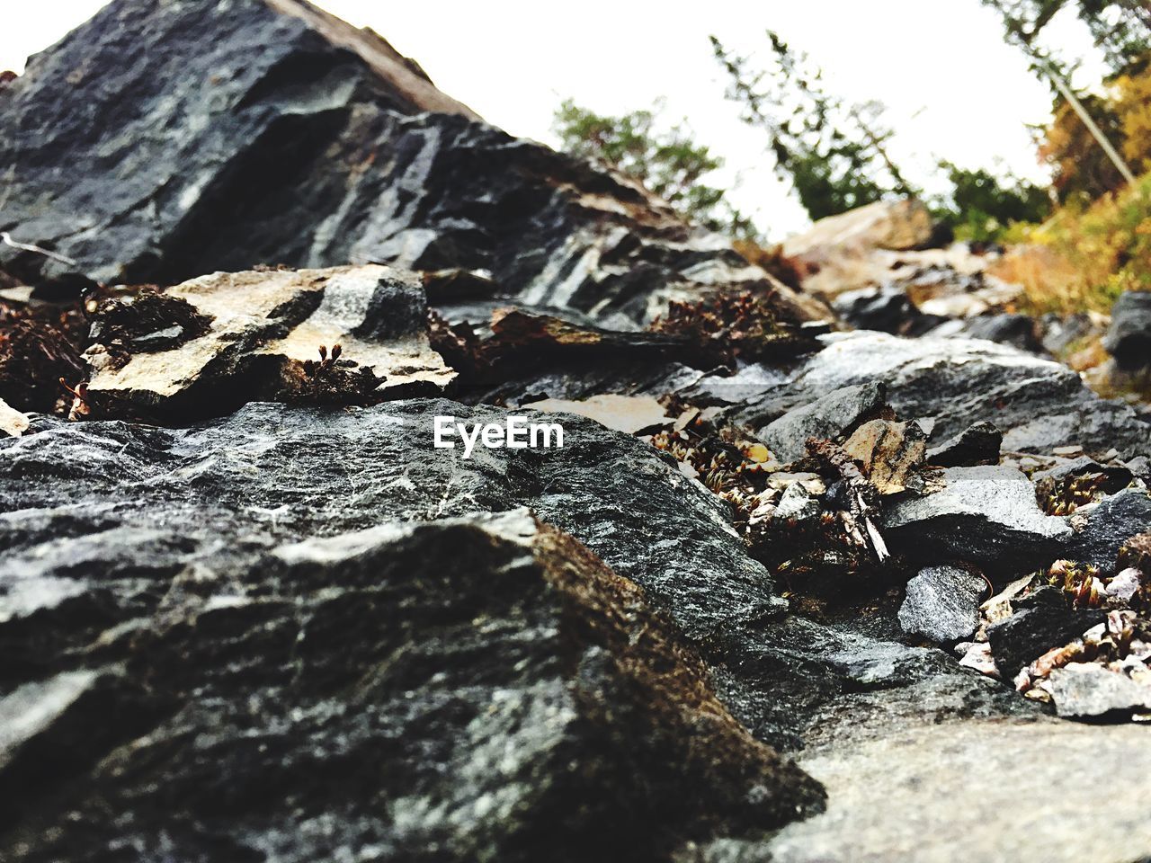 SCENIC VIEW OF ROCK FORMATIONS ON COAST