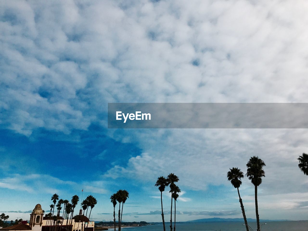 Low angle view of palm trees against cloudy sky