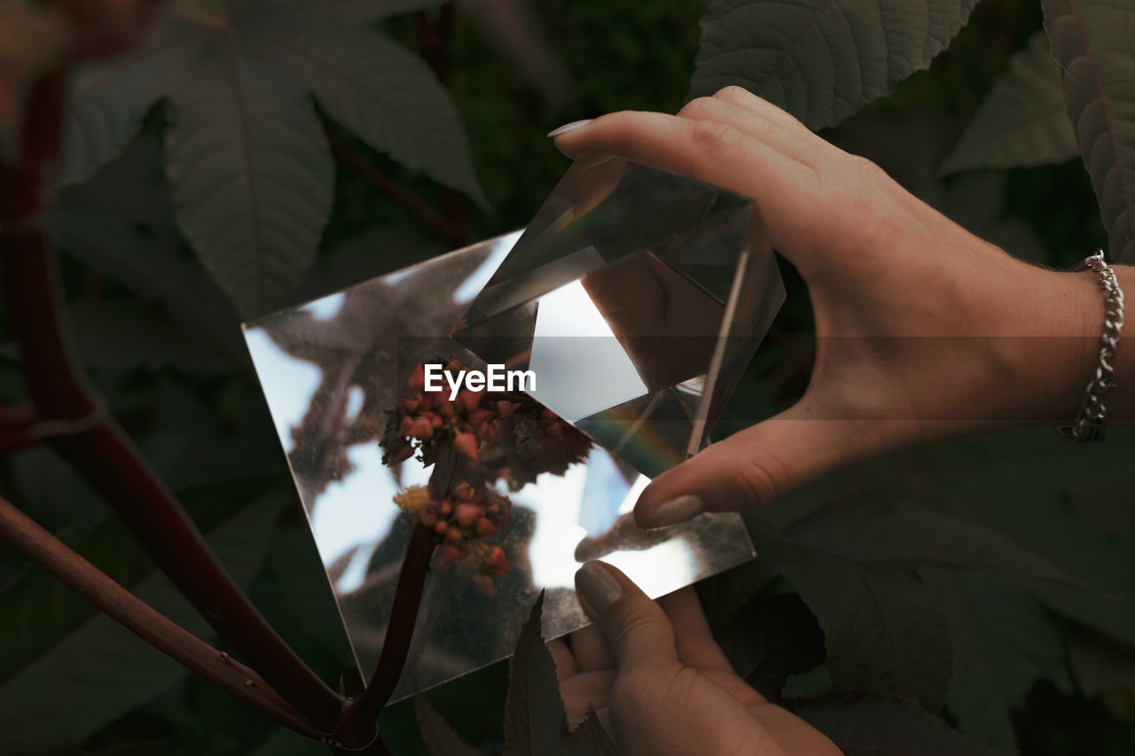 Midsection of woman holding leaves