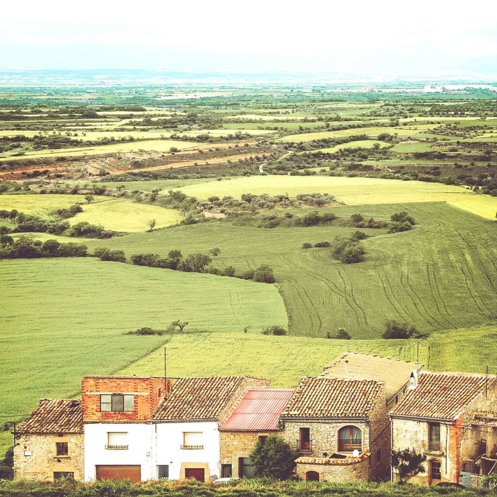 High angle view of houses and farms against clear sky