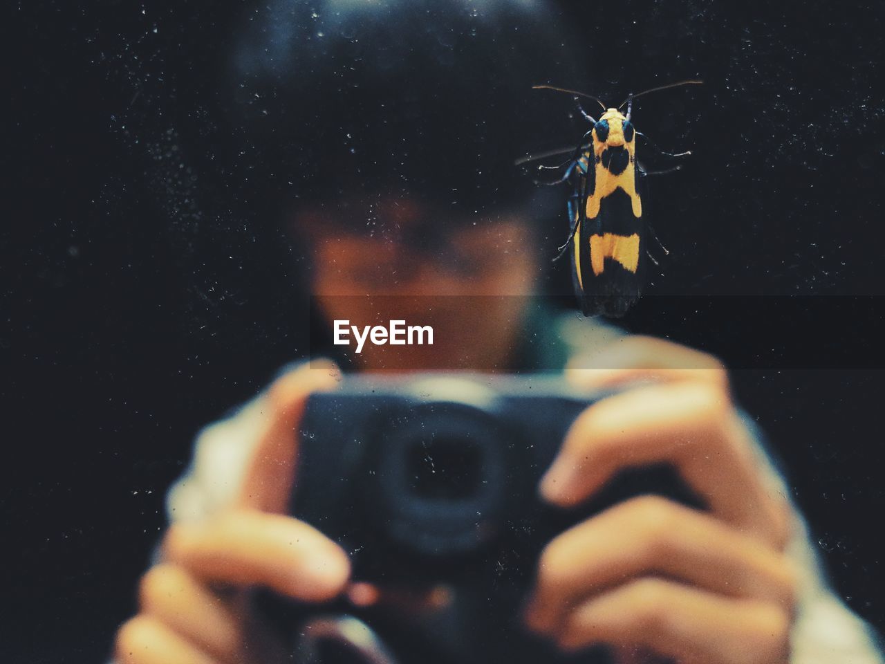 Man photographing insect on window