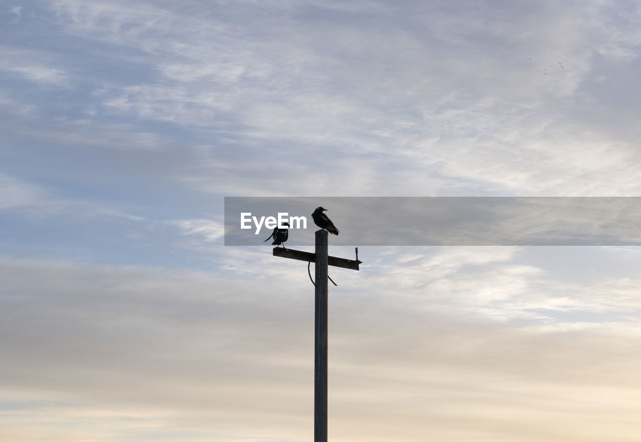 Low angle view of weather vane against cloudy sky