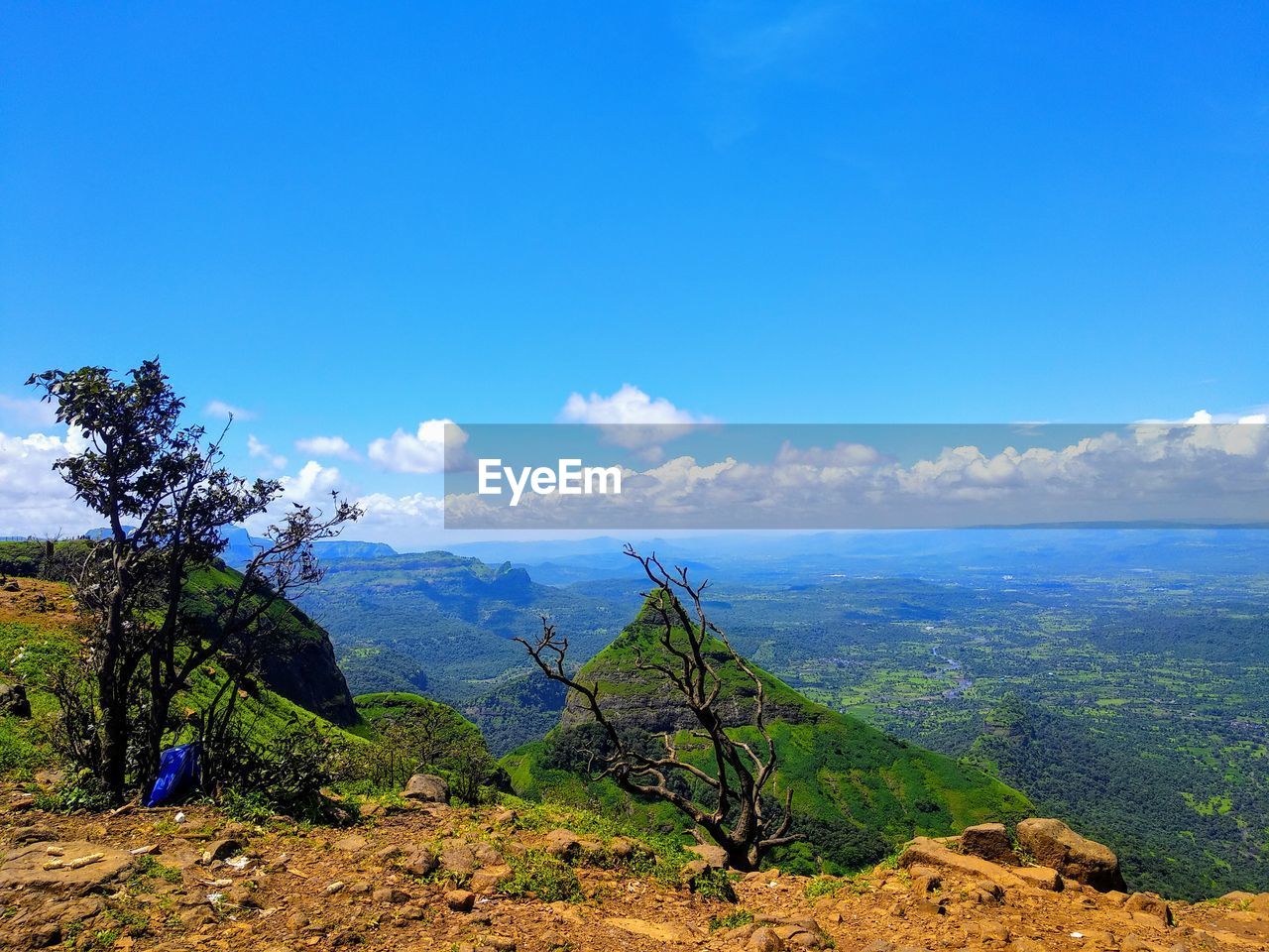 Scenic view of landscape against blue sky