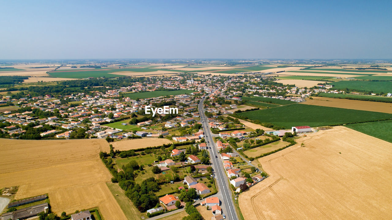 HIGH ANGLE VIEW OF AGRICULTURAL FIELD