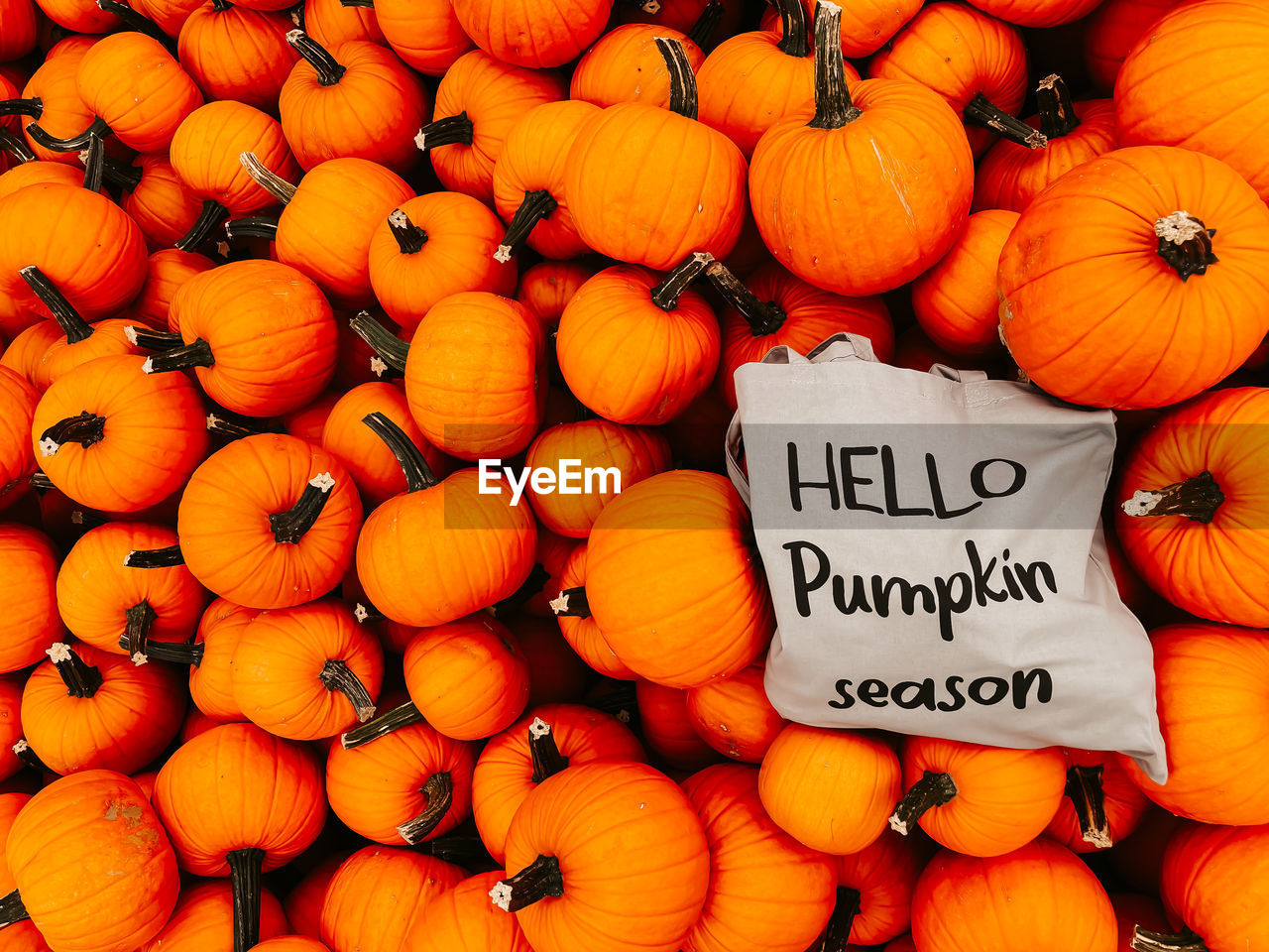 VARIOUS PUMPKINS FOR SALE AT MARKET STALL