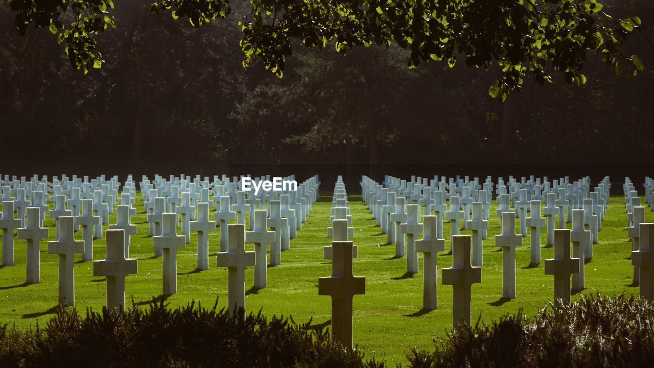 View of cross in cemetery