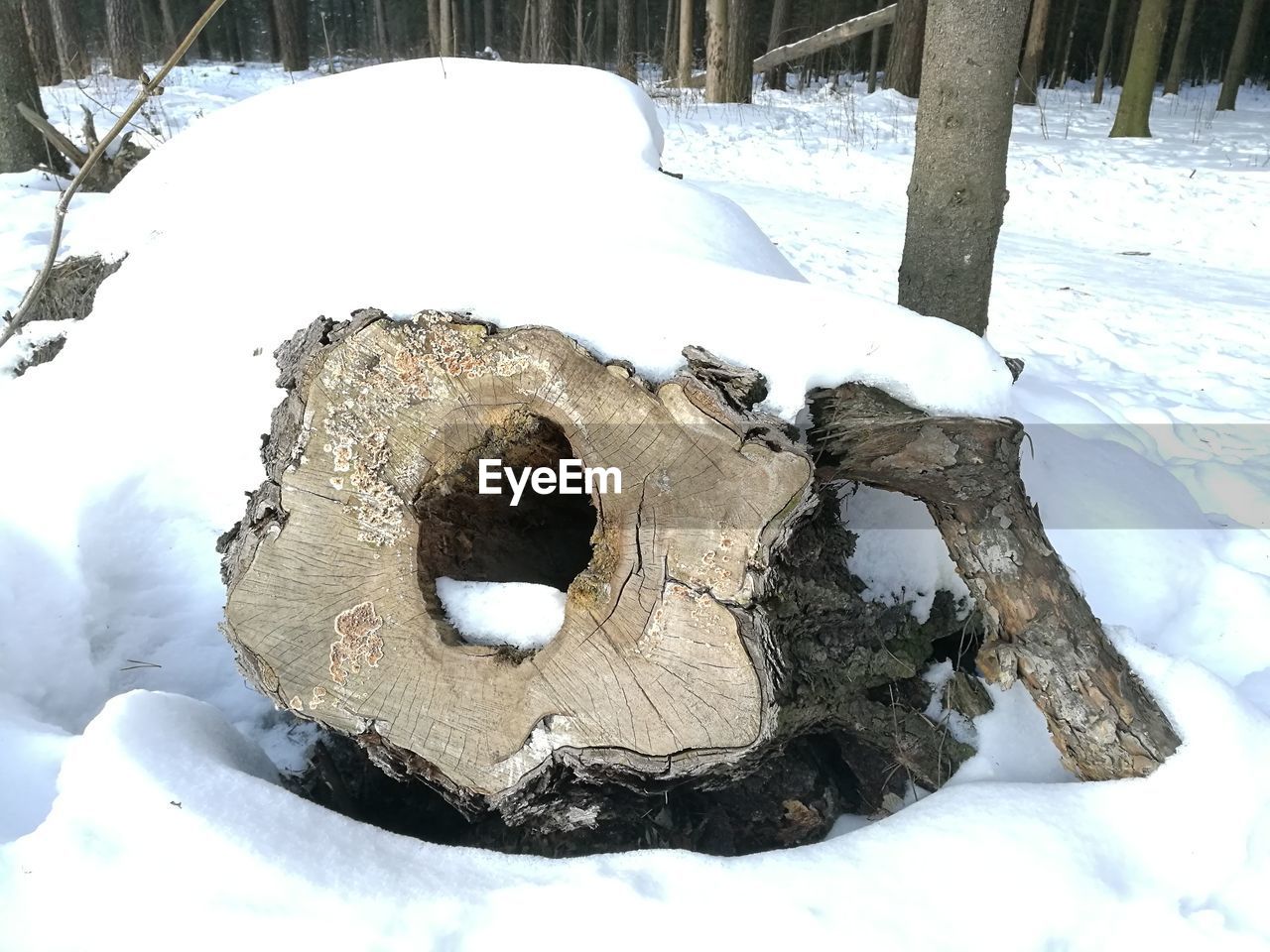 CLOSE-UP OF SNOW