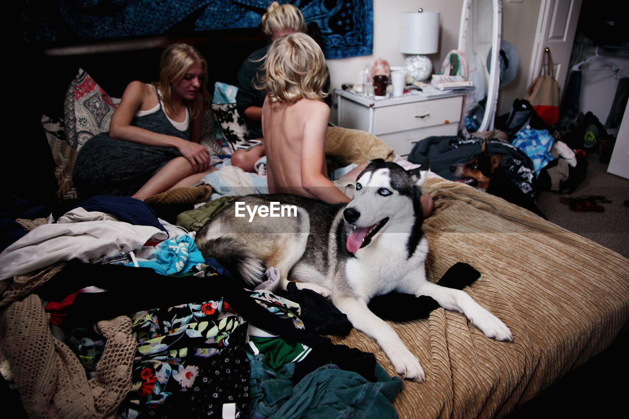 Siblings with siberian husky on bed at home