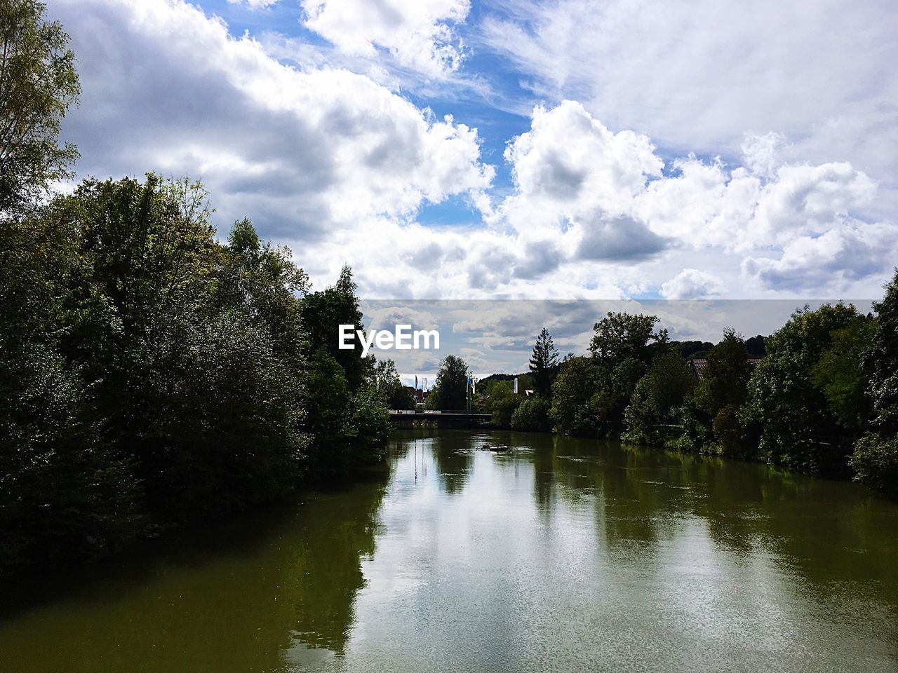 TREES BY LAKE AGAINST SKY