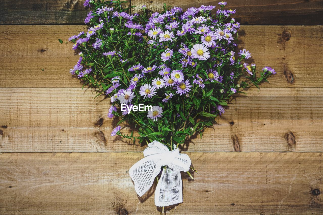 HIGH ANGLE VIEW OF FLOWERING PLANT ON TABLE